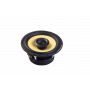 BA6-V4